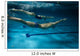 Swimmers at the swimming pool.Underwater photo. Wall Decal