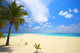 Infinity tropical beach Wall Decal