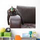 party hangover cat Wall Decal