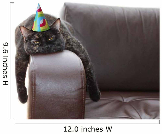 party hangover cat Wall Decal