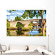 The old stone bridge of Stirling. Summertime outdoors. Wall Decal