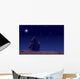 Lonesome girl watching stars and Moon. Wall Decal
