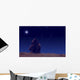 Lonesome girl watching stars and Moon. Wall Decal
