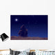 Lonesome girl watching stars and Moon. Wall Decal