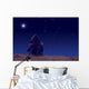 Lonesome girl watching stars and Moon. Wall Decal