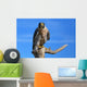 Peregrine falcon sitting on a stick Wall Decal