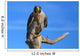Peregrine falcon sitting on a stick Wall Decal