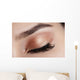 Eye Makeup Wall Decal