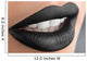 stylish black lips Wall Decal