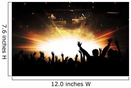 Silhouettes of concert and bright stage lights background Wall Decal