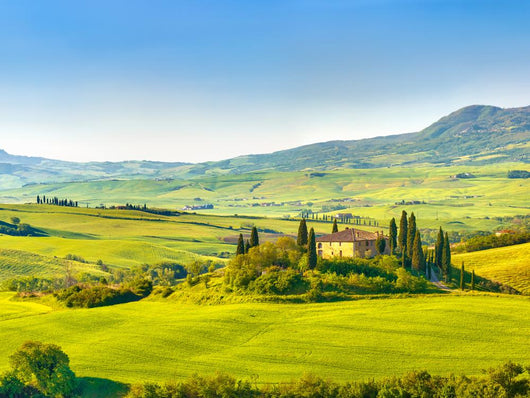 Tuscany at spring Wall Decal