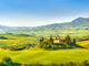 Tuscany at spring Wall Decal