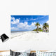 beach at Fort Myers in america Wall Decal