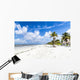 beach at Fort Myers in america Wall Decal