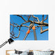 pruning tree Wall Decal