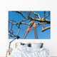 pruning tree Wall Decal
