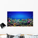 Coral Reef Wall Decal