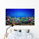 Coral Reef Wall Decal