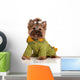 adorable yorkie in a knitted sweater Wall Decal