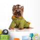 adorable yorkie in a knitted sweater Wall Decal