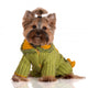adorable yorkie in a knitted sweater Wall Decal
