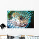 Puffed Blow fish Wall Decal