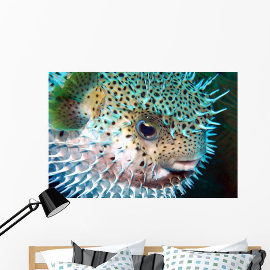 Puffed Blow fish Wall Decal