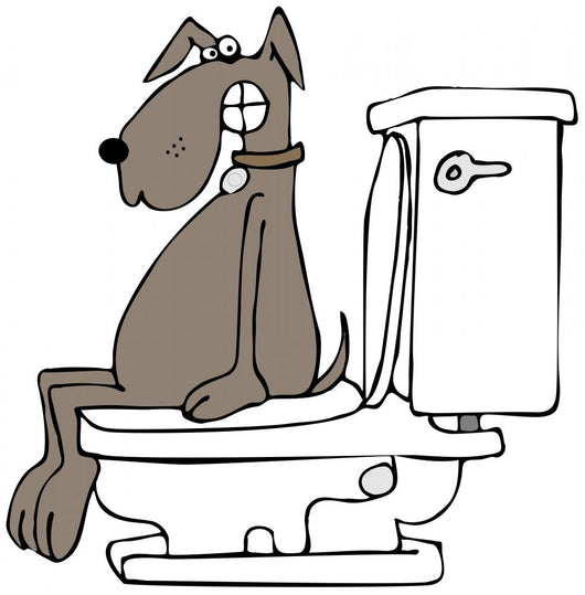 Dog on a toilet Wall Decal