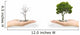 investment concept with success and failure Wall Decal