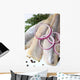 Herring Fillet Wall Decal