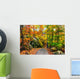 Rocky Path in an Autumn Forest Wall Decal