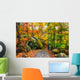 Rocky Path in an Autumn Forest Wall Decal