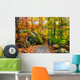 Rocky Path in an Autumn Forest Wall Decal