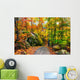 Rocky Path in an Autumn Forest Wall Decal