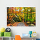Rocky Path in an Autumn Forest Wall Decal