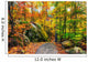 Rocky Path in an Autumn Forest Wall Decal