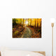 Sun Shining Down the Golden Forest Path Wall Decal