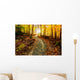 Sun Shining Down the Golden Forest Path Wall Decal