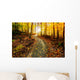 Sun Shining Down the Golden Forest Path Wall Decal