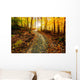 Sun Shining Down the Golden Forest Path Wall Decal
