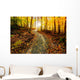 Sun Shining Down the Golden Forest Path Wall Decal