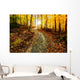 Sun Shining Down the Golden Forest Path Wall Decal