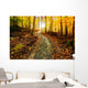 Sun Shining Down the Golden Forest Path Wall Decal