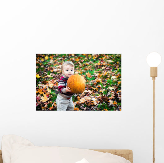 Wide Eyed Toddler Outside Holding a Big Pumpkin Wall Decal