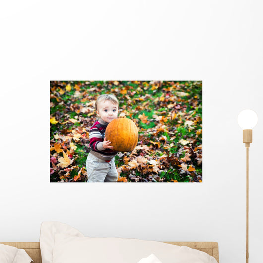 Wide Eyed Toddler Outside Holding a Big Pumpkin Wall Decal