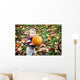 Wide Eyed Toddler Outside Holding a Big Pumpkin Wall Decal
