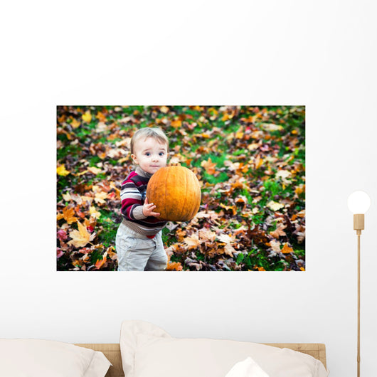 Wide Eyed Toddler Outside Holding a Big Pumpkin Wall Decal