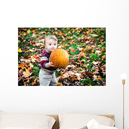 Wide Eyed Toddler Outside Holding a Big Pumpkin Wall Decal
