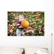 Wide Eyed Toddler Outside Holding a Big Pumpkin Wall Decal
