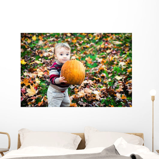 Wide Eyed Toddler Outside Holding a Big Pumpkin Wall Decal